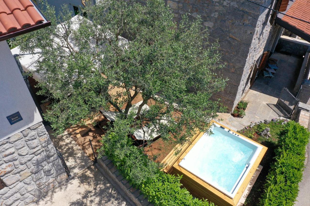 Villa Fani With Jacuzzi Ičići Dış mekan fotoğraf