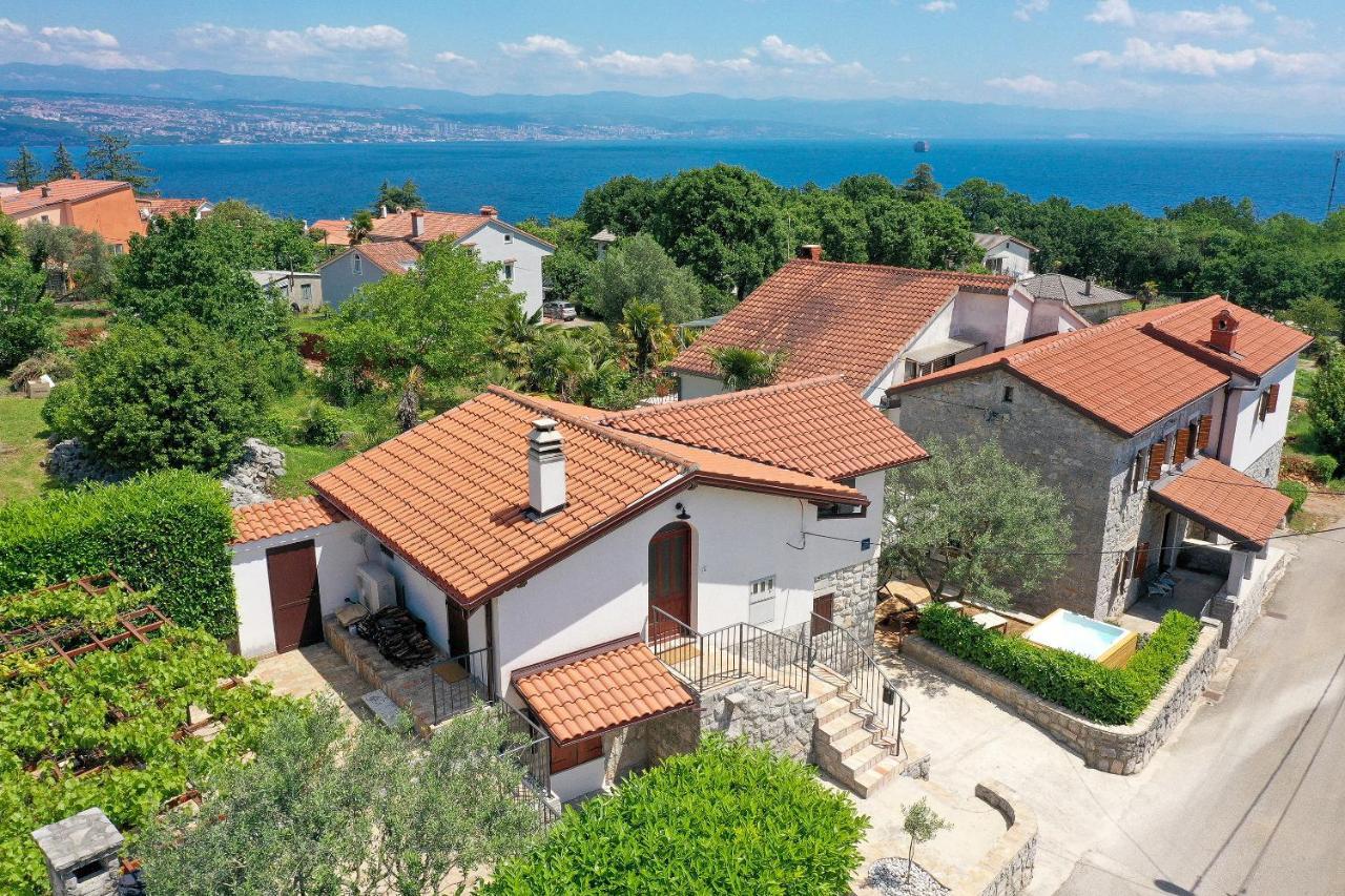 Villa Fani With Jacuzzi Ičići Dış mekan fotoğraf